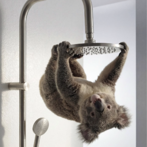 Douche en acier inoxydable 316