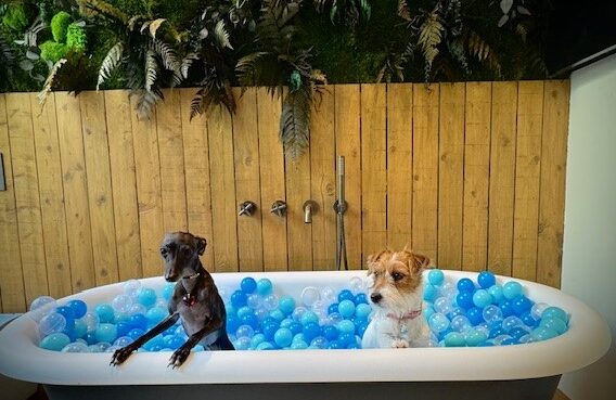 Baignoire